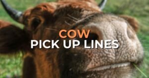 cow pick up lines