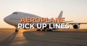 aeroplane pick up lines