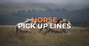 Horse Pick Up Lines