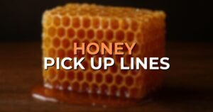 Honey Pick Up Lines