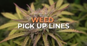 weed pick up lines