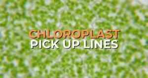 Chloroplast Pick Up Lines