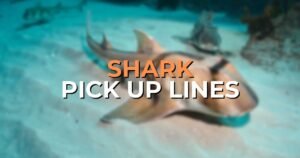 Shark Pick Up Lines