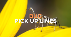 bug pick up lines