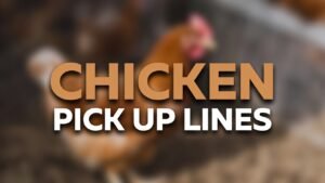 chicken pick up lines